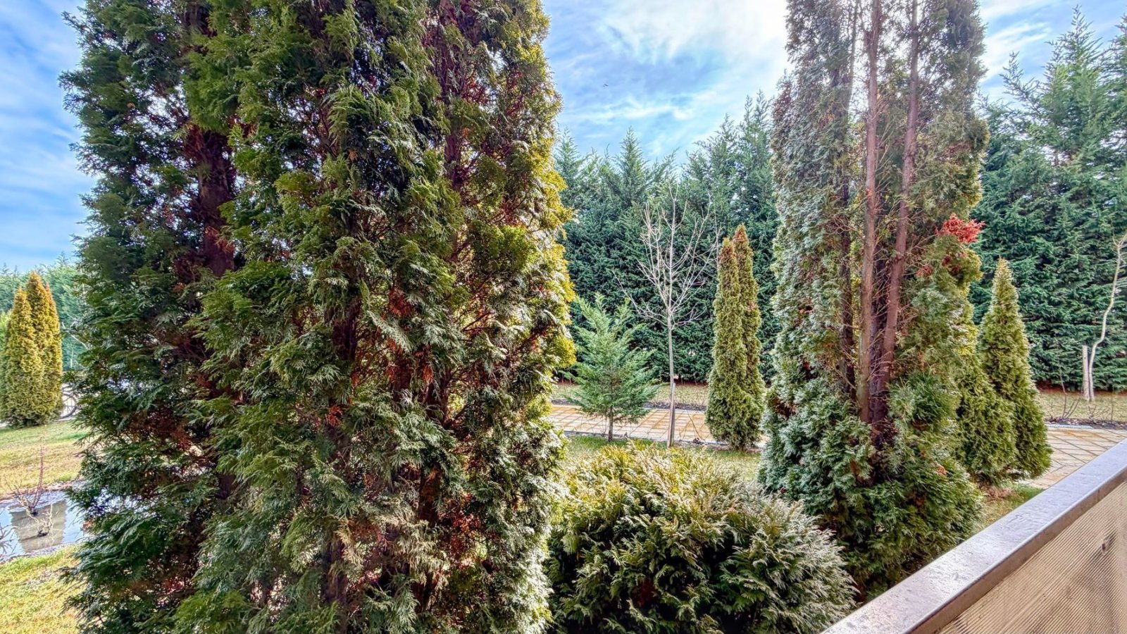 Studio in Sonnenstrand Orchidea Fort