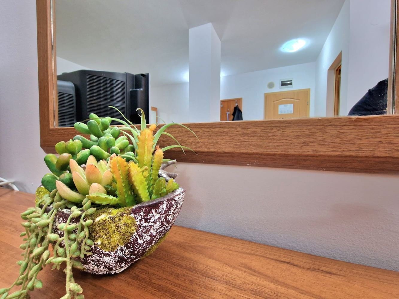 Geräumiges Studio in Sonnenstrand - Avalon